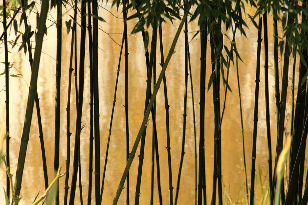 Zorg voor sfeer in je huis met bamboe jaloezieën